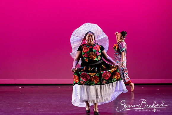 Mujer Oaxaquena pc Sharen Bradford-40780