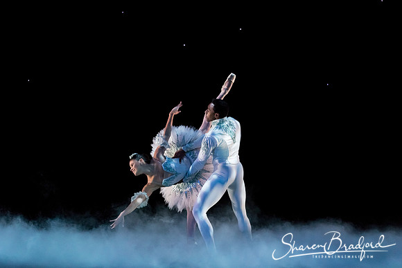 ASFB Nutcracker pc Sharen Bradford-0034