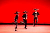 Mosaic Dance Project-0320