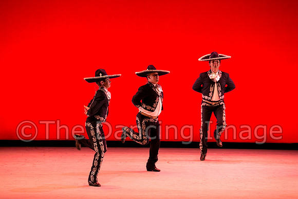 Mosaic Dance Project-0320