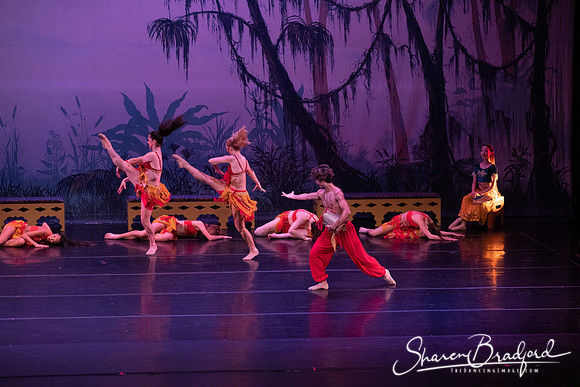TDC La Bayadere pc Sharen Bradford-2998