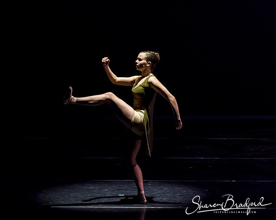 Ballet Dallas Seasons pc Sharen Bradford-1346