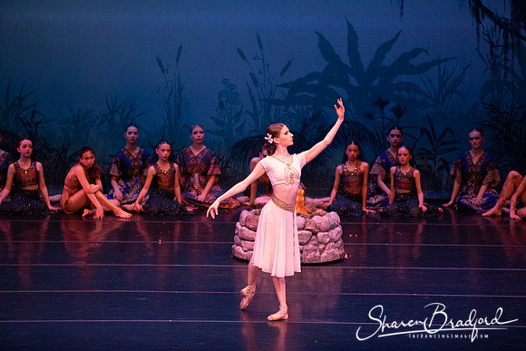 TDC La Bayadere pc Sharen Bradford-2526