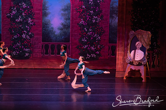 TDC La Bayadere pc Sharen Bradford-2729