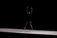 DBDT II-0555