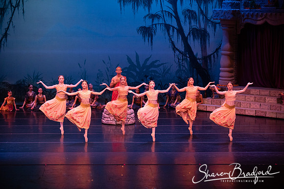 TDC La Bayadere pc Sharen Bradford-2467