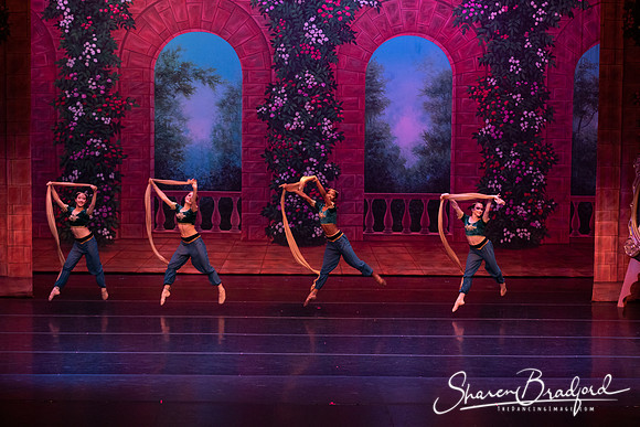 TDC La Bayadere pc Sharen Bradford-2709