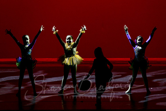 The Greatest Show-2291