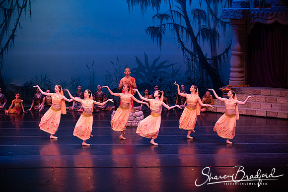 TDC La Bayadere pc Sharen Bradford-2469
