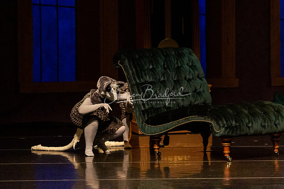 BNT Nutcracker Battle pc Sharen Bradford-0604