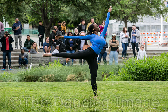 DAD Block Party pc Marty Sohl-5324