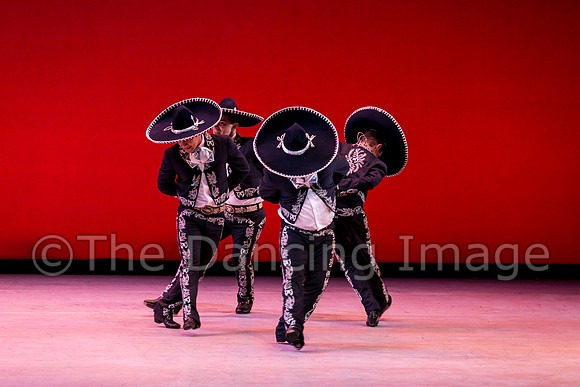 Mosaic Dance Project-0411