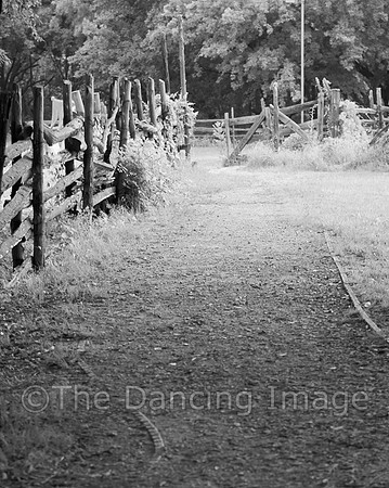 Penn Farm-0750