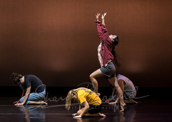 8&1 Dance Company pc Sharen Bradford-4574