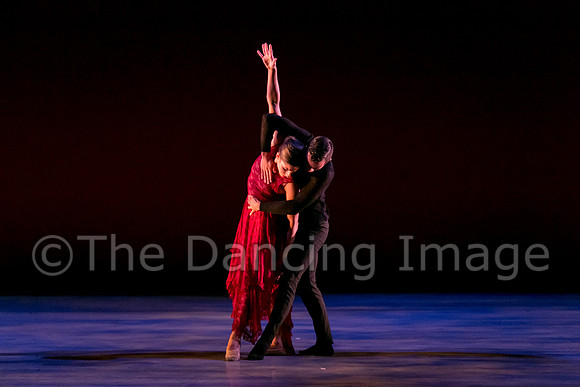 Chado Danse-2850