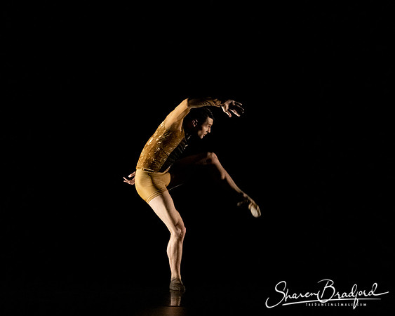 ASFB Beautiful Decay pc Sharen Bradford-0137