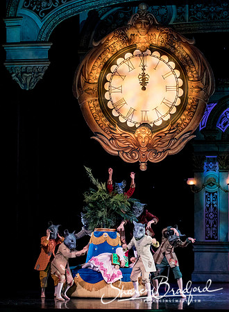 Nutcracker matinee pc Sharen Bradford-4694