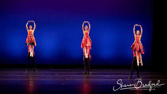 Dallas Ballet Company pc Sharen Bradford-3218