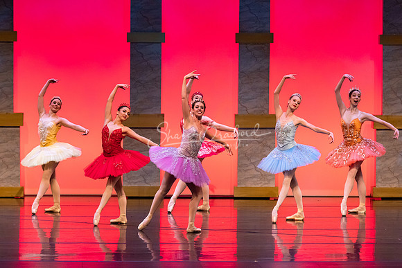 Ballet NTX Sleeping Beauty pc Sharen Bradford-0094