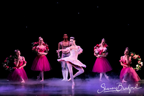 Nutcracker matinee pc Sharen Bradford-5326