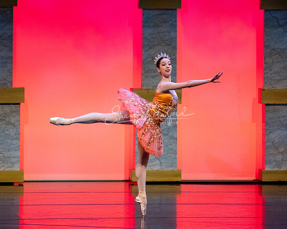 Ballet NTX Sleeping Beauty pc Sharen Bradford-0169