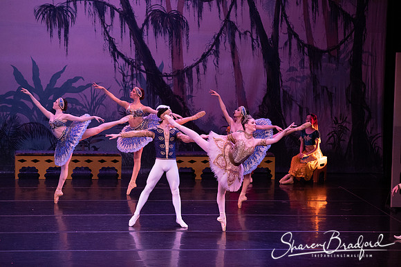 TDC La Bayadere pc Sharen Bradford-3151