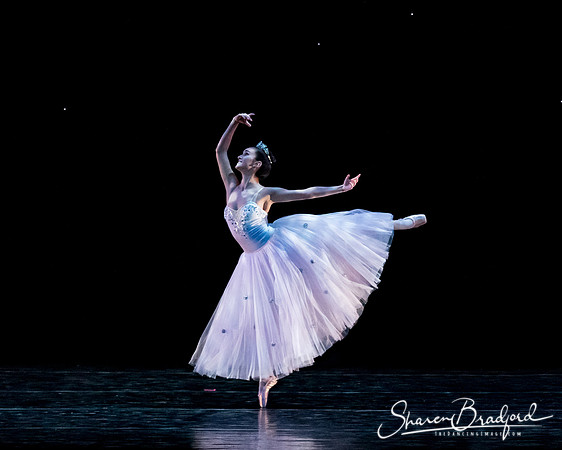Nutcracker matinee pc Sharen Bradford-