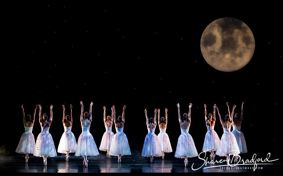Nutcracker matinee pc Sharen Bradford-5072