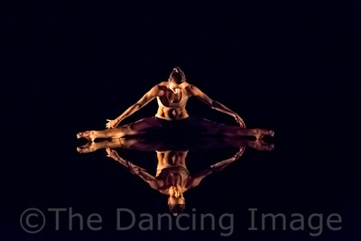 Echoes of Narcissus pc Sharen Bradford-0645