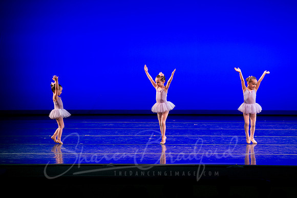 Water Lillies-0289