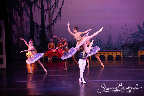 TDC La Bayadere pc Sharen Bradford-3142