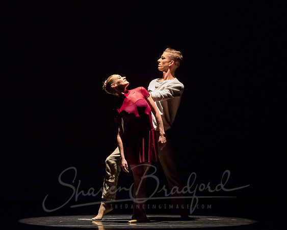 Falling Light pc Sharen Bradford-0547