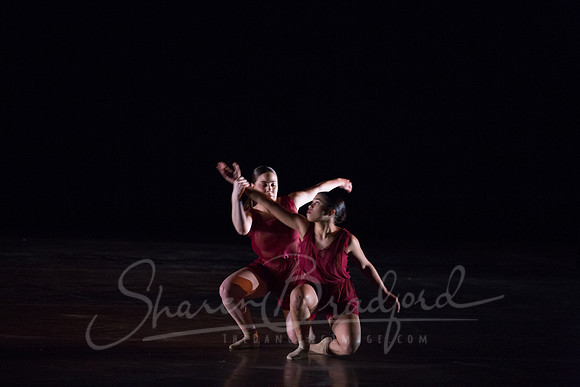 Bloom pc Sharen Bradford-9136
