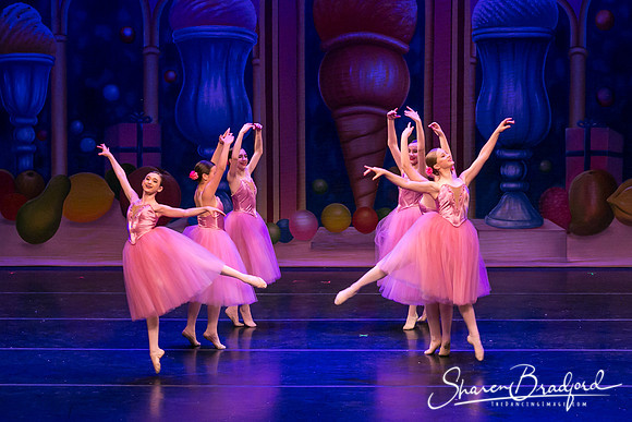Waltz of the Flowers pc Sharen Bradford-1790