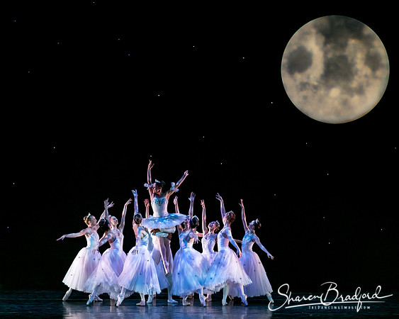 Nutcracker eve pc Sharen Bradford-6834