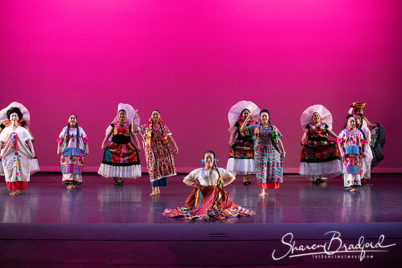 Mujer Oaxaquena pc Sharen Bradford-40846