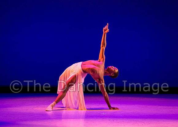 Jared Brown-4827