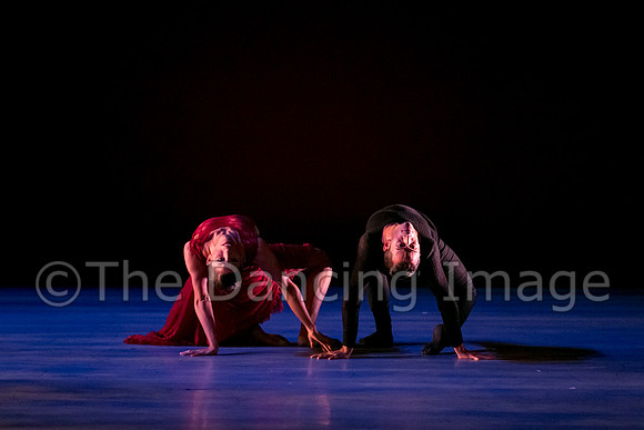 Chado Danse-2828