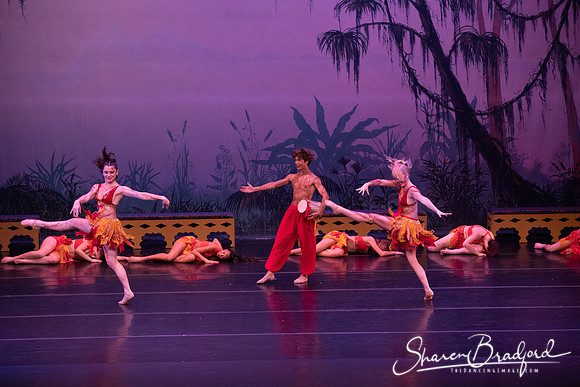 TDC La Bayadere pc Sharen Bradford-3006