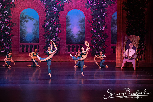 TDC La Bayadere pc Sharen Bradford-2763