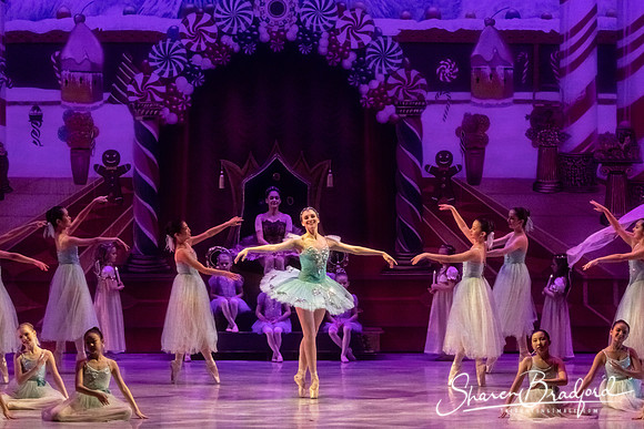 CCBT Nutcracker 19 pc Sharen Bradford-5261