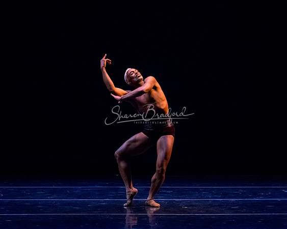Goldberg pc Sharen Bradford-8132