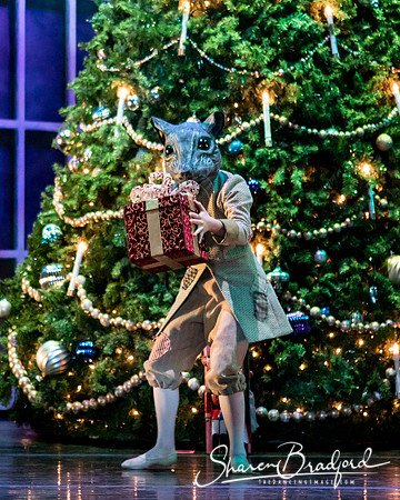 Nutcracker matinee pc Sharen Bradford-4660