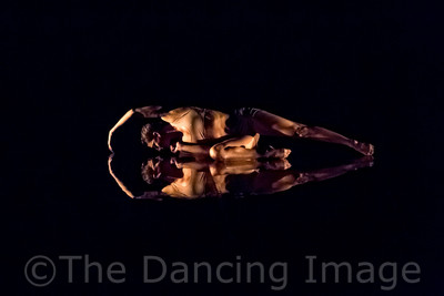 Echoes of Narcissus pc Sharen Bradford-0623