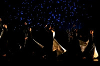 Luminous pc Sharen Bradford-40345