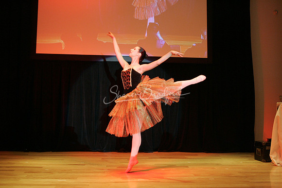 2007 Imagine the Impossible pc Sharen Bradford-0013