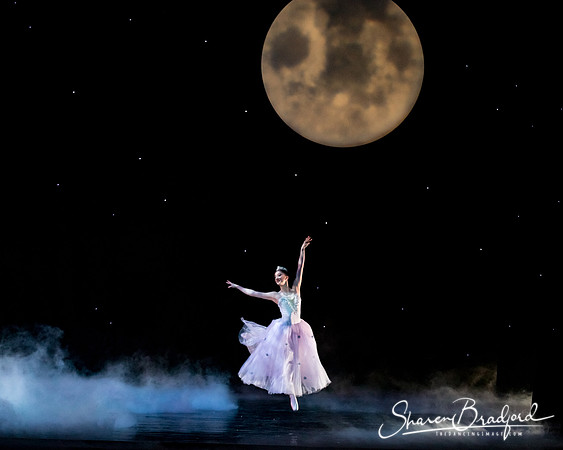 Nutcracker matinee pc Sharen Bradford-5058
