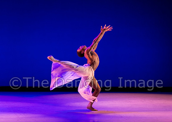 Jared Brown-4875