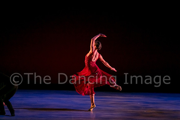 Chado Danse-2874