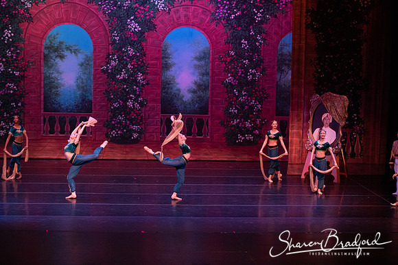 TDC La Bayadere pc Sharen Bradford-2742